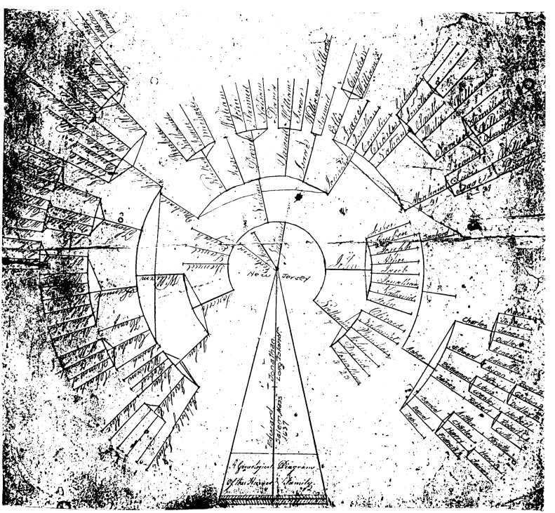 Family Tree